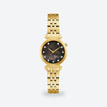 Women's 24mm Black Dial Watch, Black dial / Gold-tone