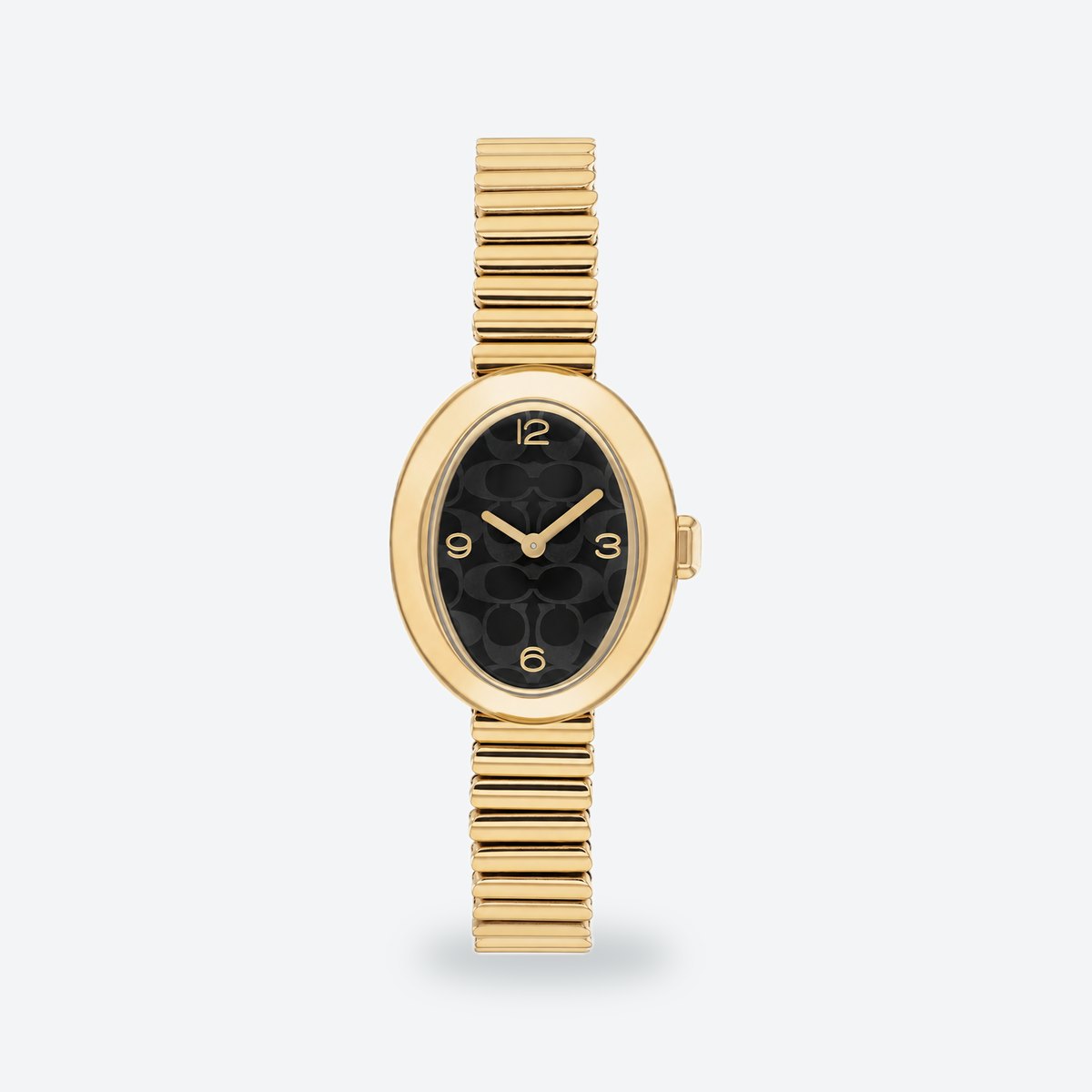 Women's 22mm Black Dial Watch, photo