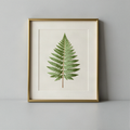 Botanical Pressed-Leaf Frame
